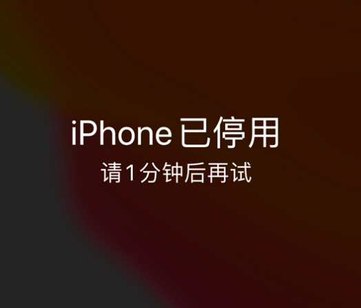 乡宁苹果手机维修分享:iPhone 显示“不可用”或“已停用”怎么办？还能保留数据吗？ 