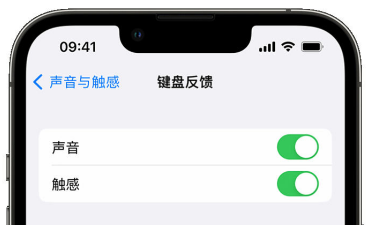 乡宁苹果手机维修分享iPhone 14触感键盘使用方法 