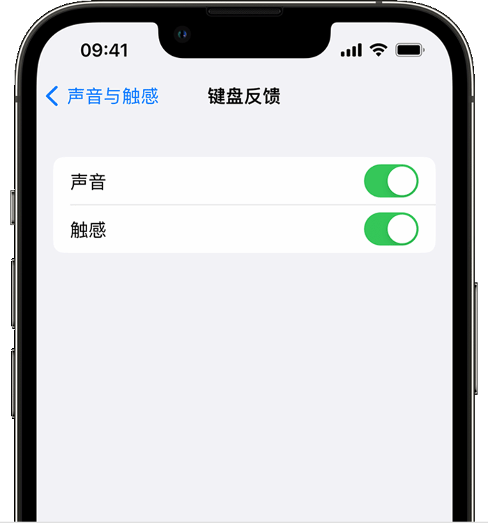 乡宁苹果14维修店分享如何在 iPhone 14 机型中使用触感键盘 