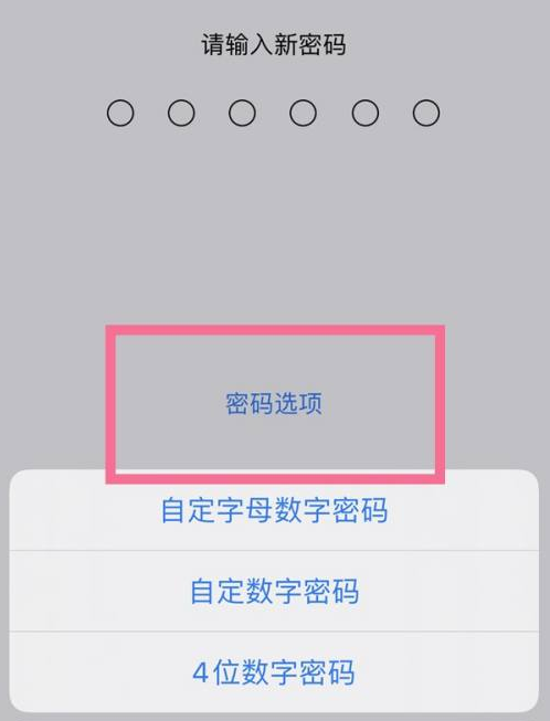 乡宁苹果14维修分享iPhone 14plus设置密码的方法 