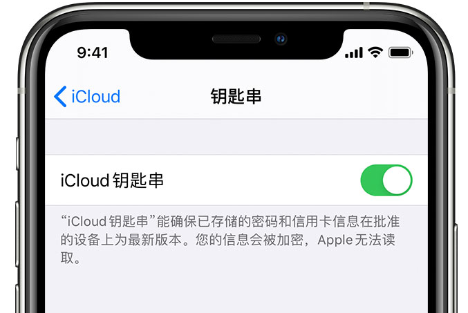 乡宁苹果手机维修分享在 iPhone 上开启 iCloud 钥匙串之后会储存哪些信息 